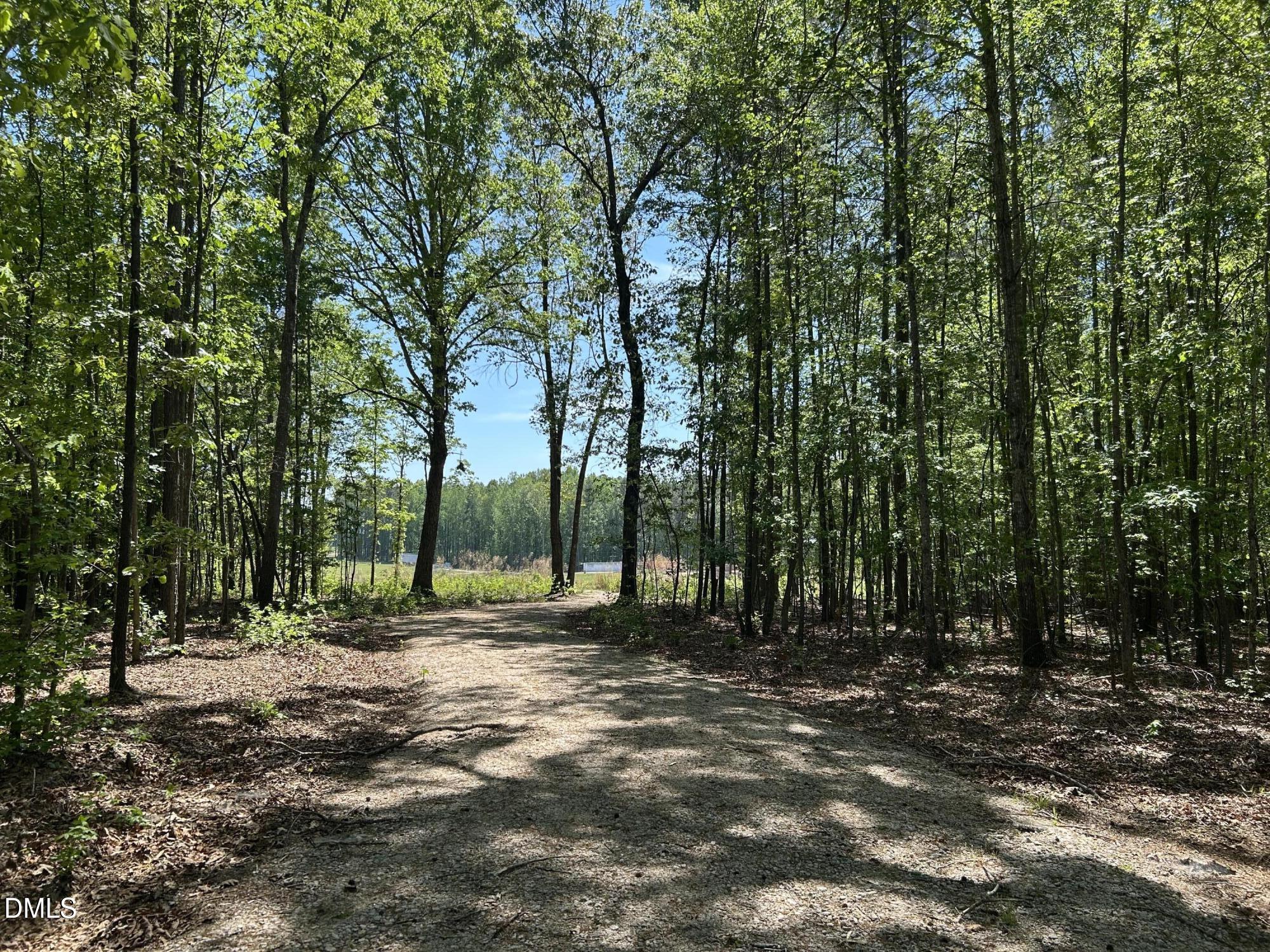 230 Bealy Farm Road Zebulon, NC 27597 - Photo 2 of 12 a view of outdoor space with trees