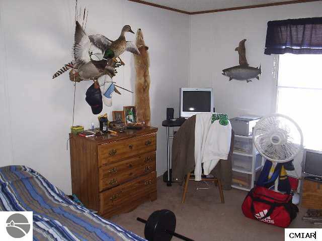 6902 South Coldwater Road Blanchard, MI 49310 - Photo 5 of 7 1768810-4.JPG