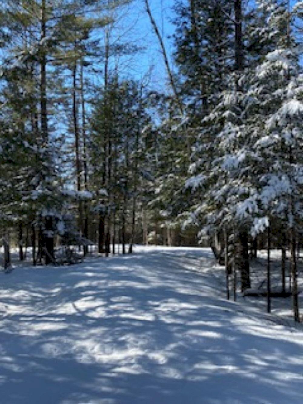 Lot 19 L15-3 Coburn Road Carthage, ME 04224 - Photo 14 of 14 IMG_4542_result