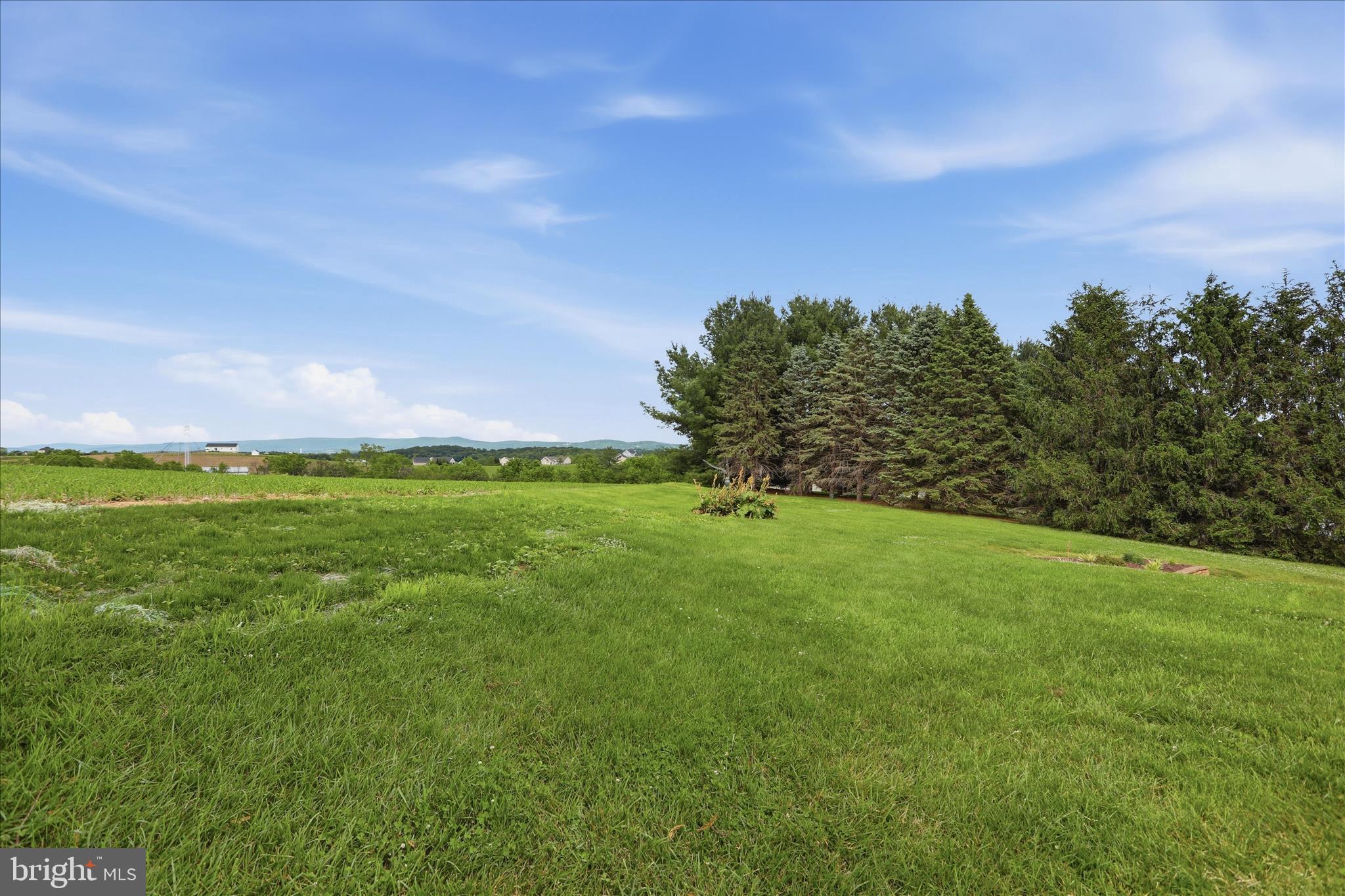 2700 Poffenberger Road Middletown, MD 21769 - Photo 35 of 46 Back Yard