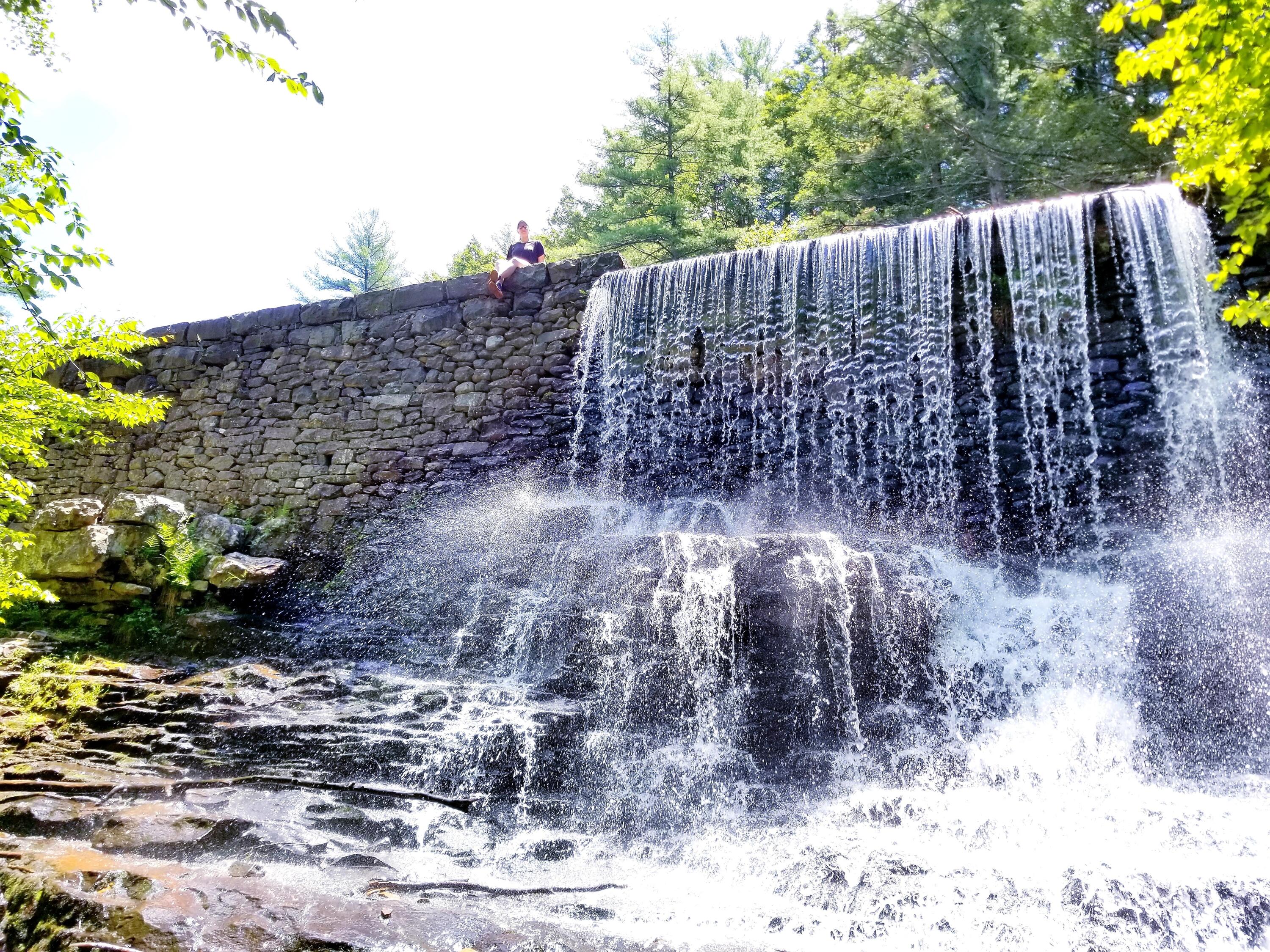 6395 Cherokee Trail Tobyhanna, PA 18466 - Photo 42 of 48 a view of a wooden fence