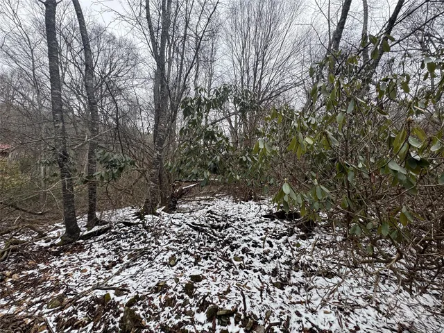 a view of a large yard with lots of green space