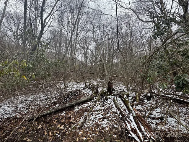 a view of a large yard with lots of green space