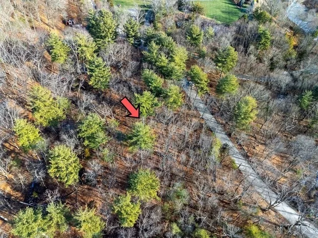 an aerial view of residential houses with outdoor and green space