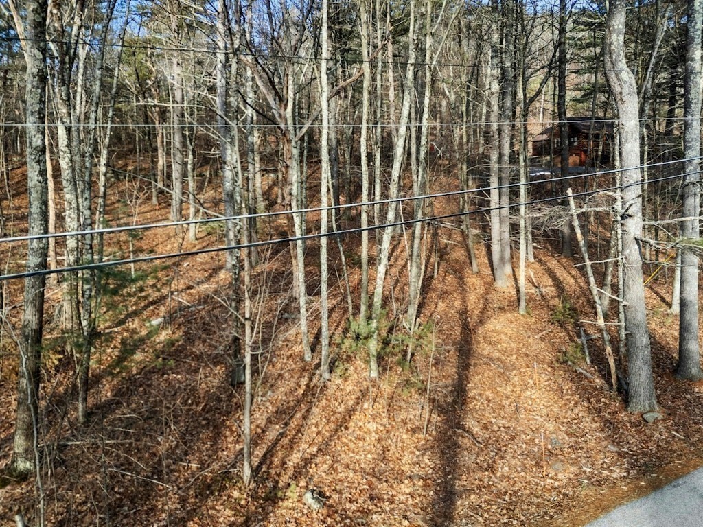 429 Howard Street Northborough, MA 01532 - Photo 8 of 10