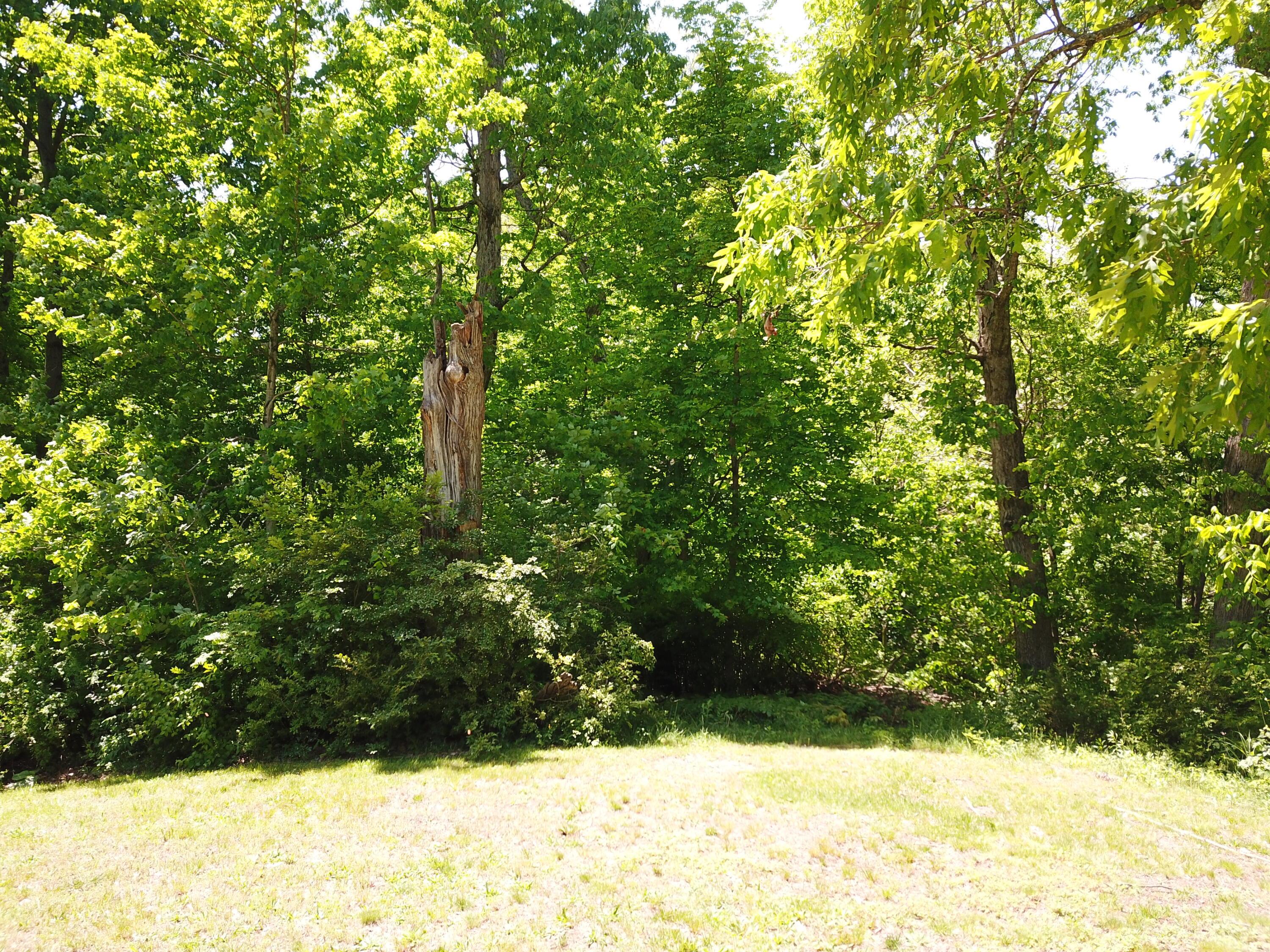 1428 Jewett Road Powell, OH 43065 - Photo 6 of 12 DJI_0259