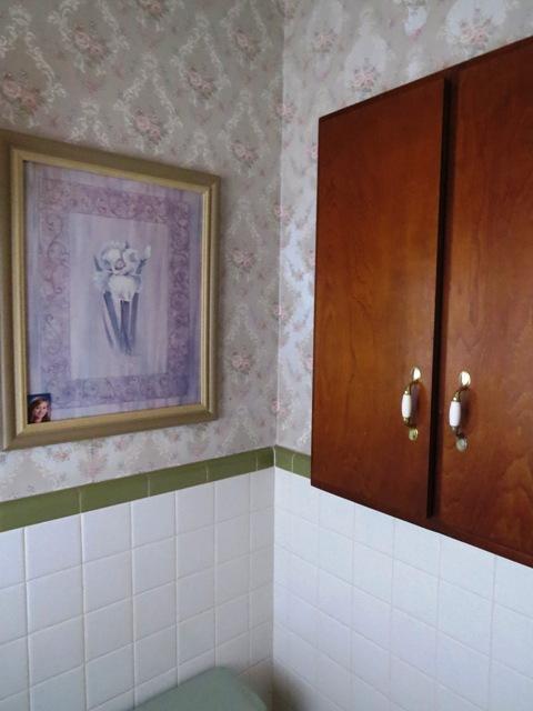 6813 Oak Level Road Bassett, VA 24055 - Photo 22 of 39 MASTER HALF BATH