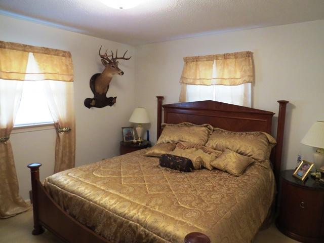 6813 Oak Level Road Bassett, VA 24055 - Photo 23 of 39 BEDROOM 3