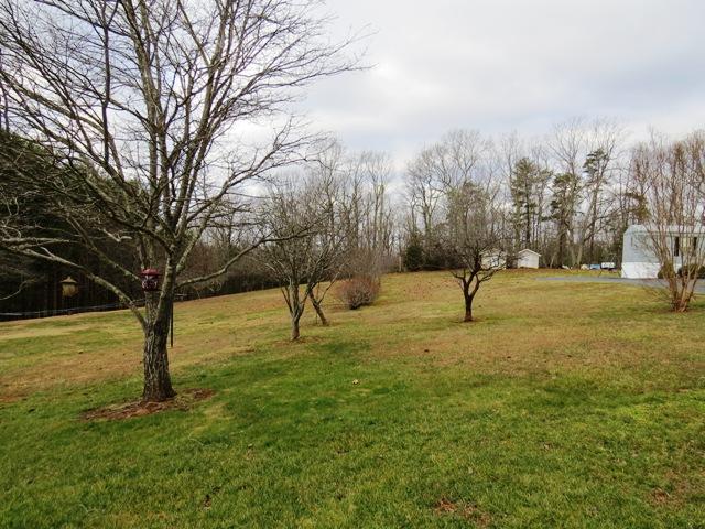 6813 Oak Level Road Bassett, VA 24055 - Photo 37 of 39 BACKYARD