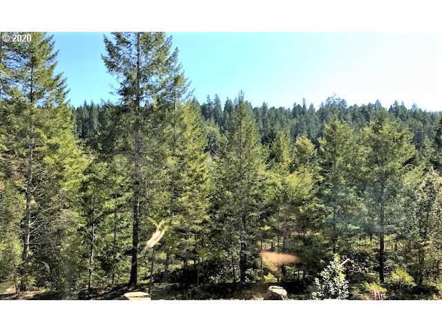 5785 Hubbard Road Umpqua, OR 97486 - Photo 29 of 32 Gallery Image 29