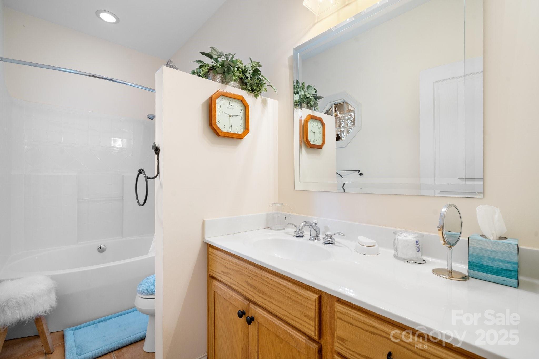 4530 Meandering Way Conover, NC 28613 - Photo 23 of 48 a bathroom with a sink and a mirror