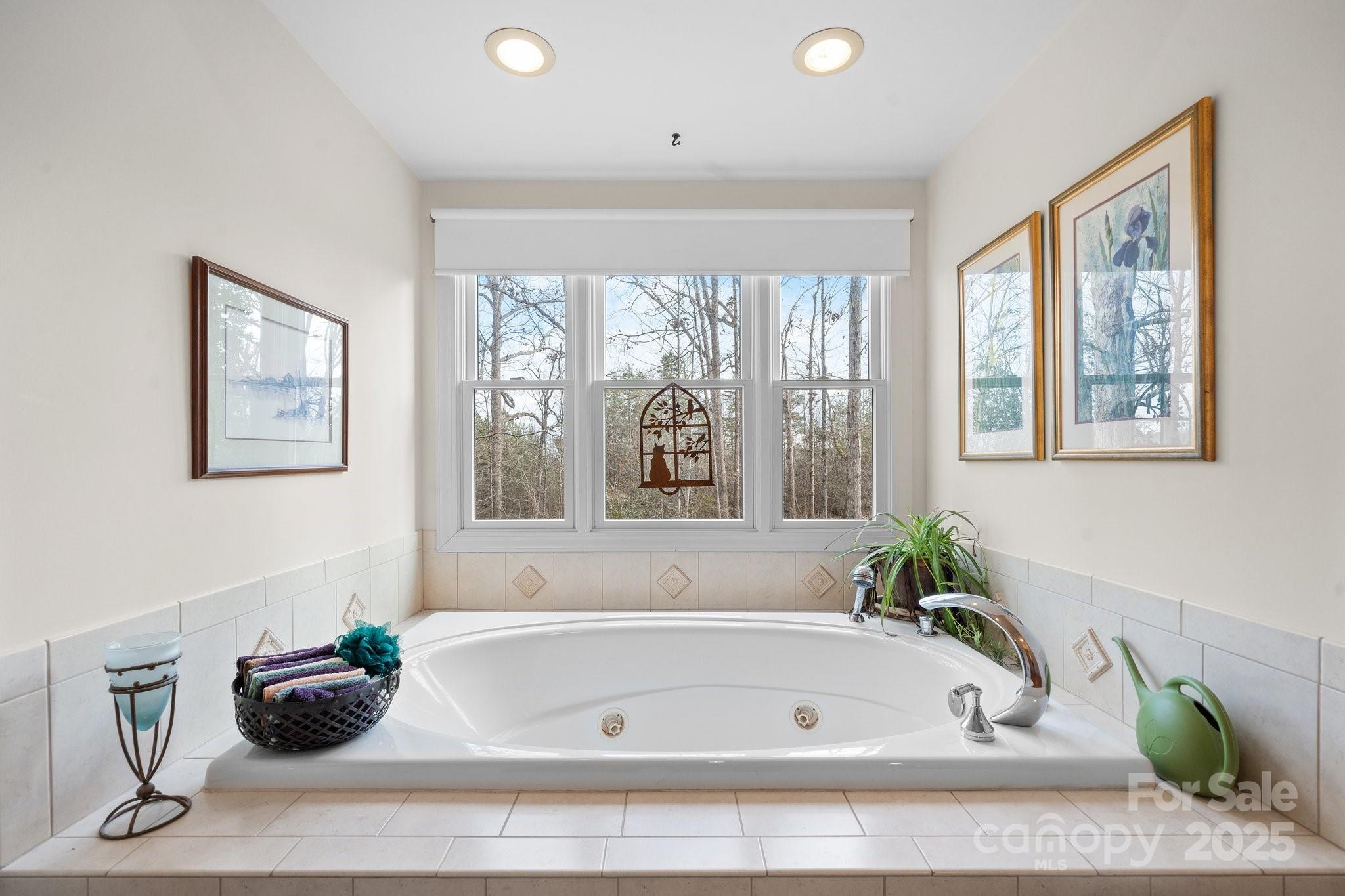 4530 Meandering Way Conover, NC 28613 - Photo 28 of 48 a bathroom with a tub and potted plant