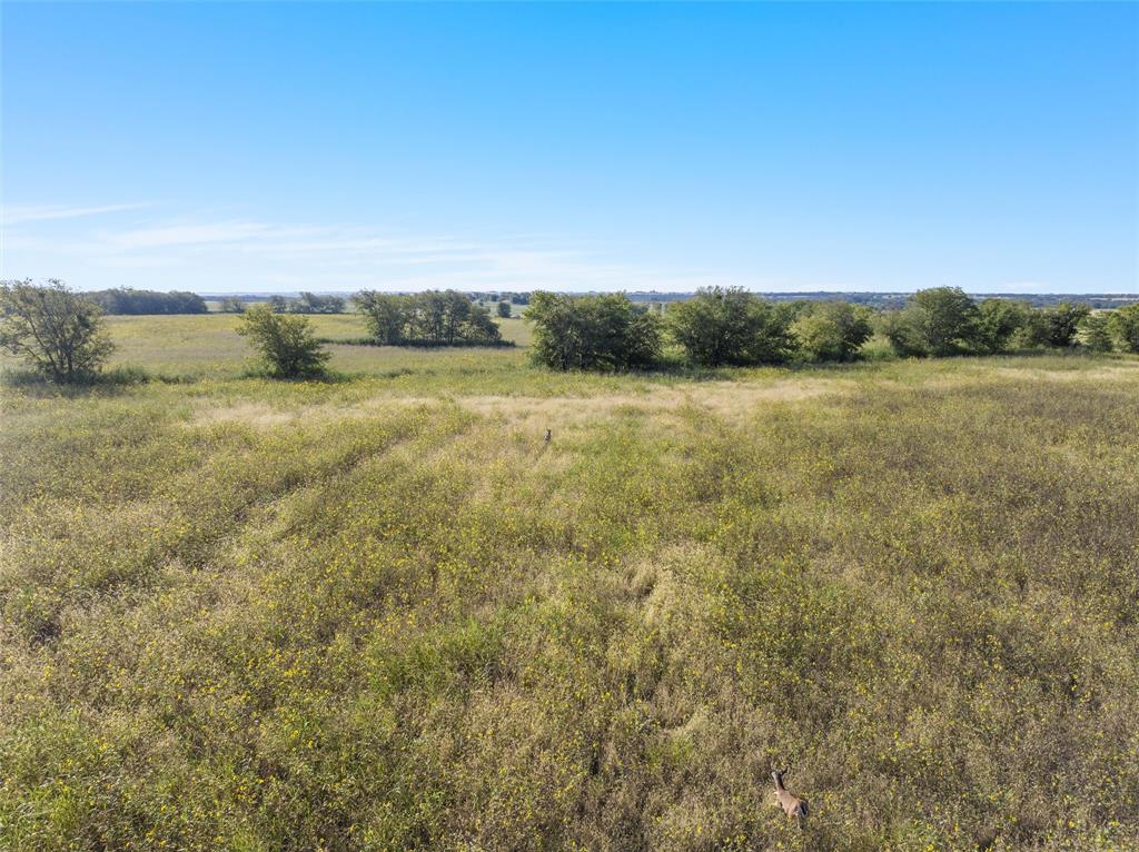 902 Mattlage Road Crawford, TX 76638 - Photo 10 of 32 View of undeveloped land featuring rural landscape