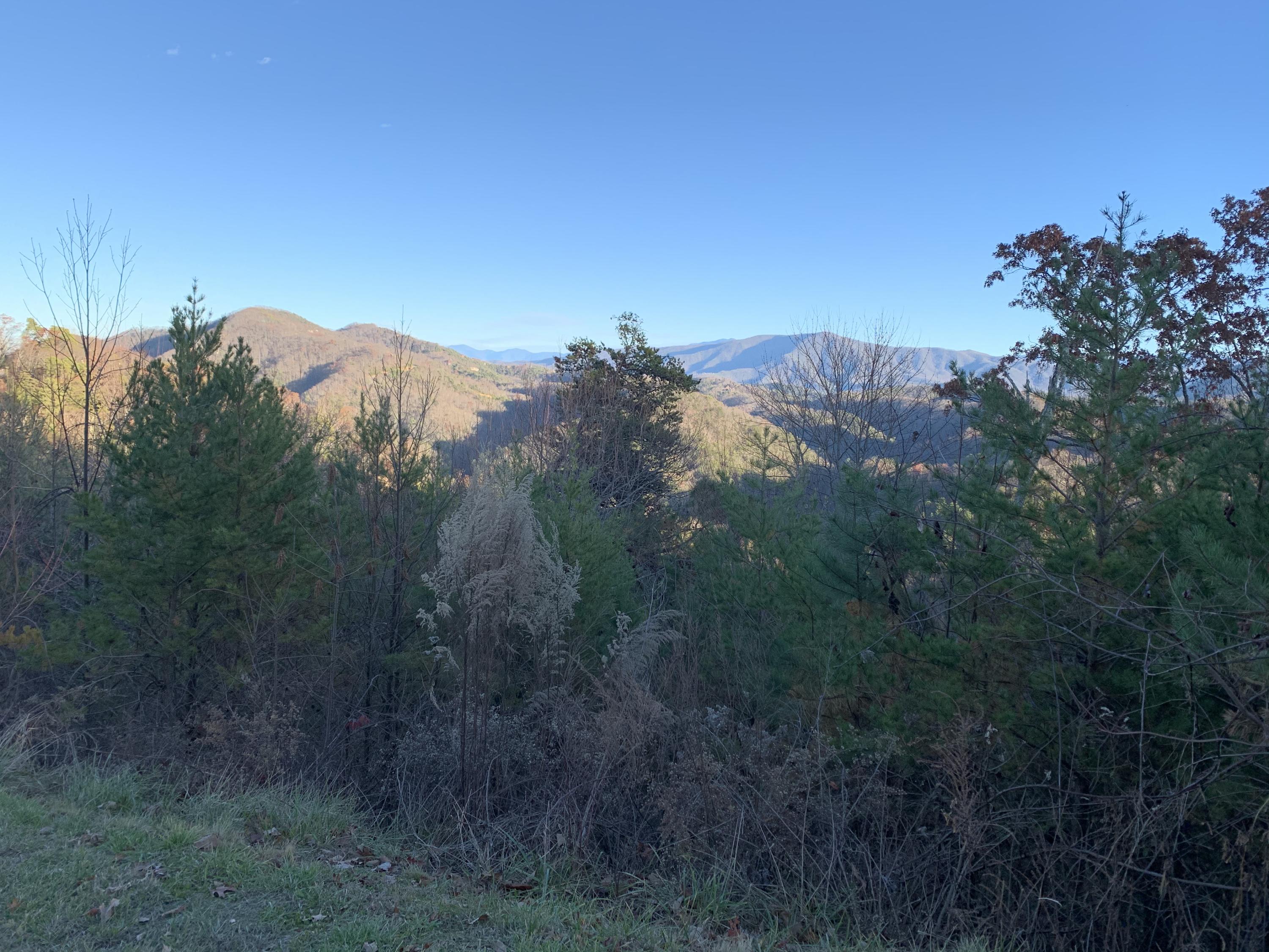 4978 Long Rifle Road Sevierville, TN 37862 - Photo 1 of 19 Mountain View from Long Rifle 2