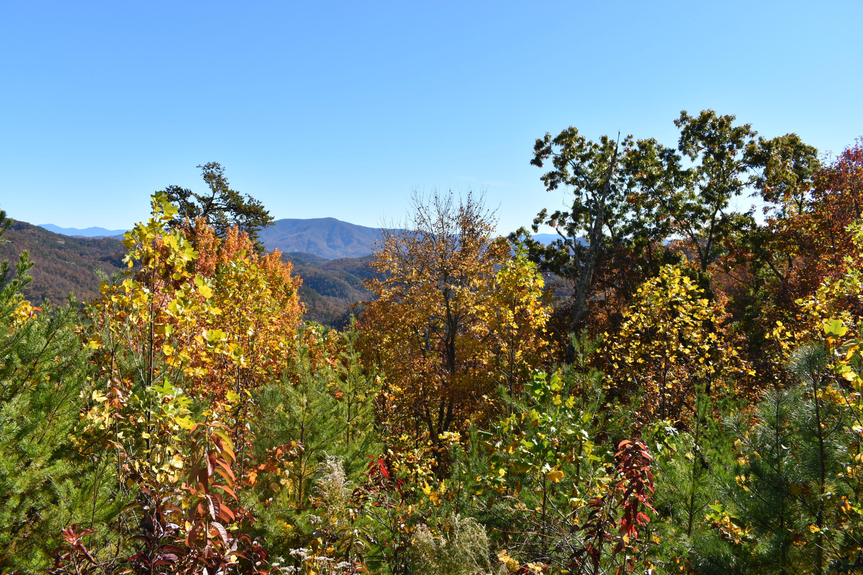 4978 Long Rifle Road Sevierville, TN 37862 - Photo 3 of 19 Astounding Views