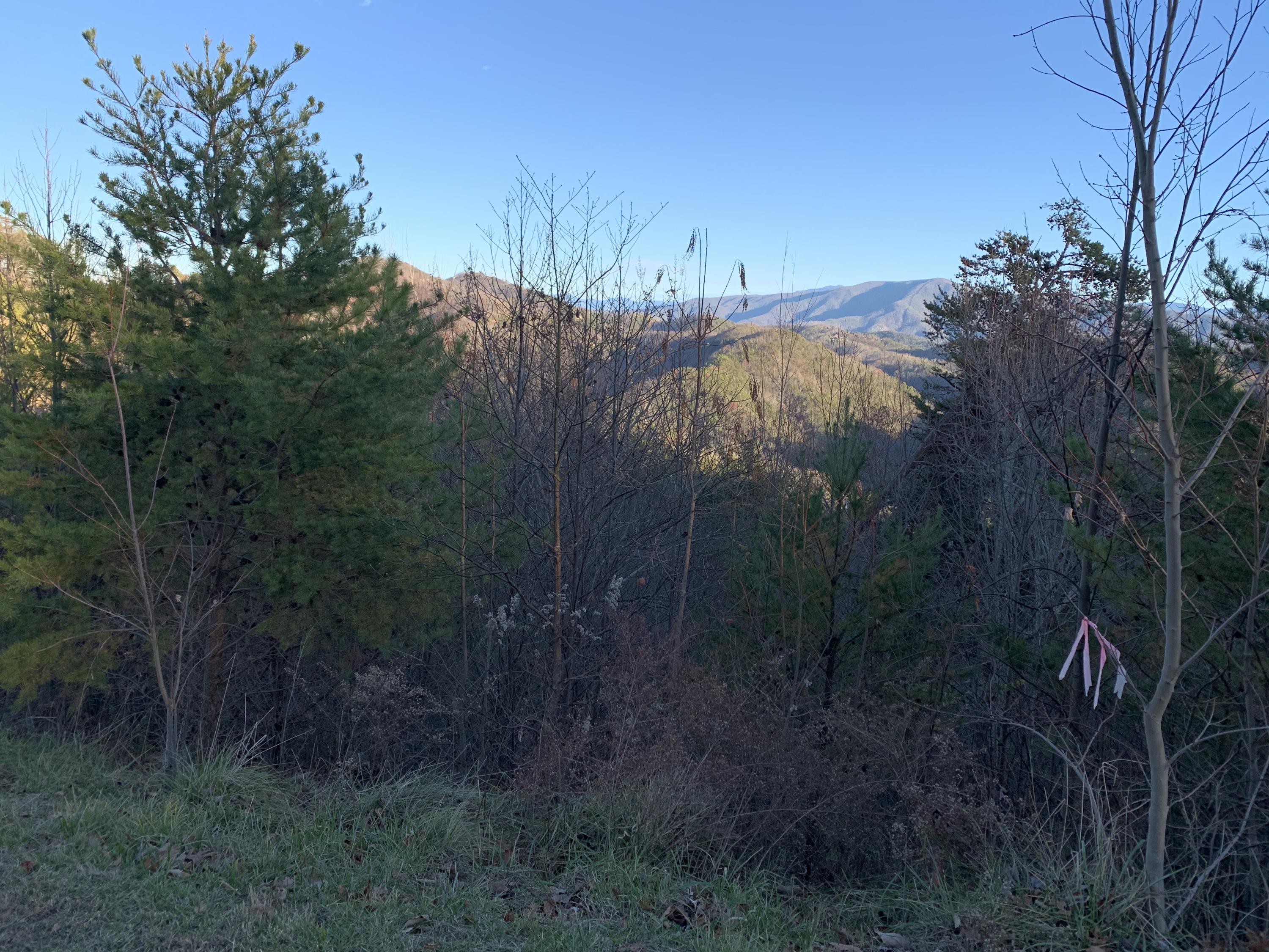 4978 Long Rifle Road Sevierville, TN 37862 - Photo 4 of 19 Mountain View from Long Rifle