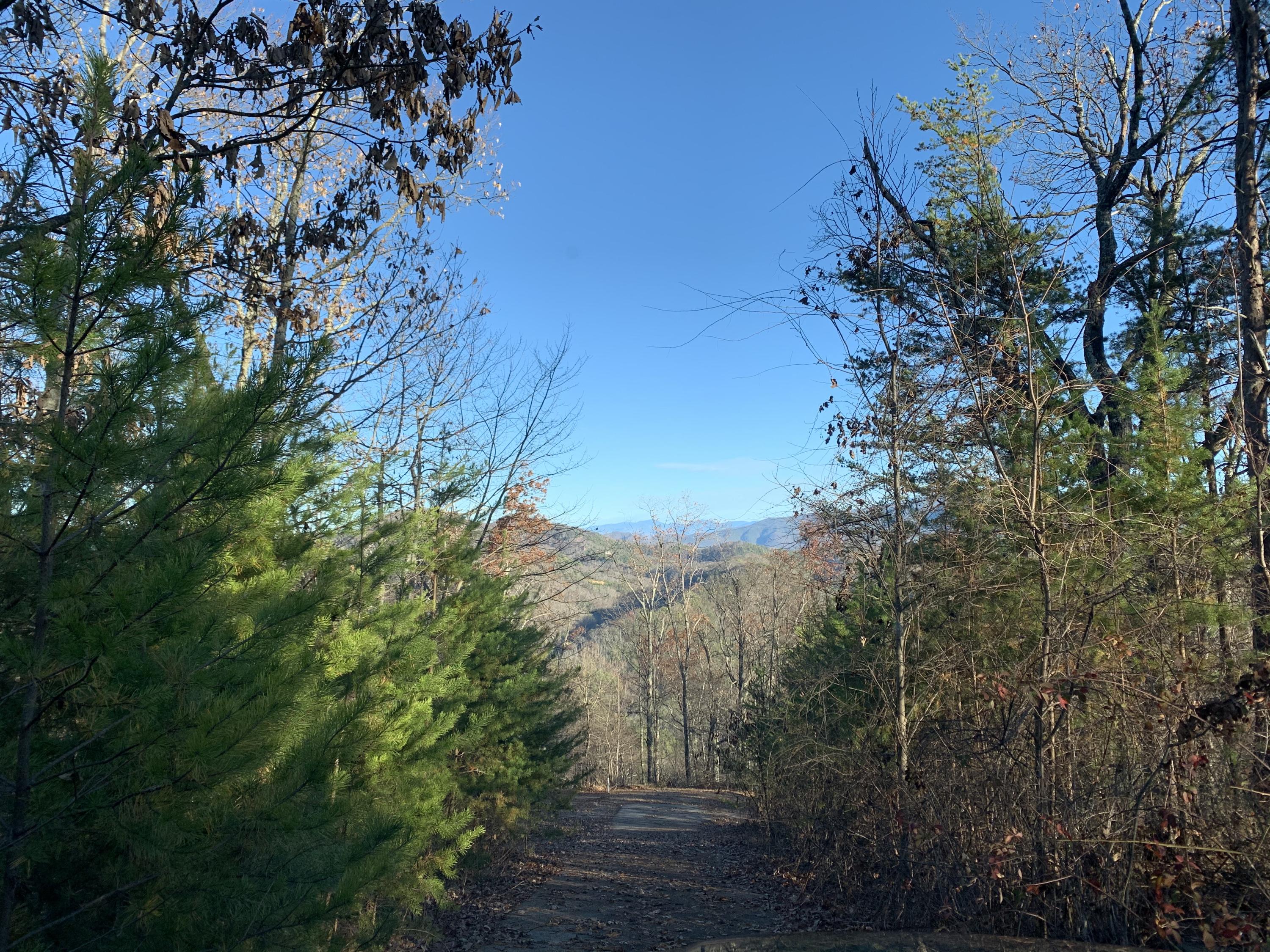 4978 Long Rifle Road Sevierville, TN 37862 - Photo 5 of 19 Cul-de-sac View