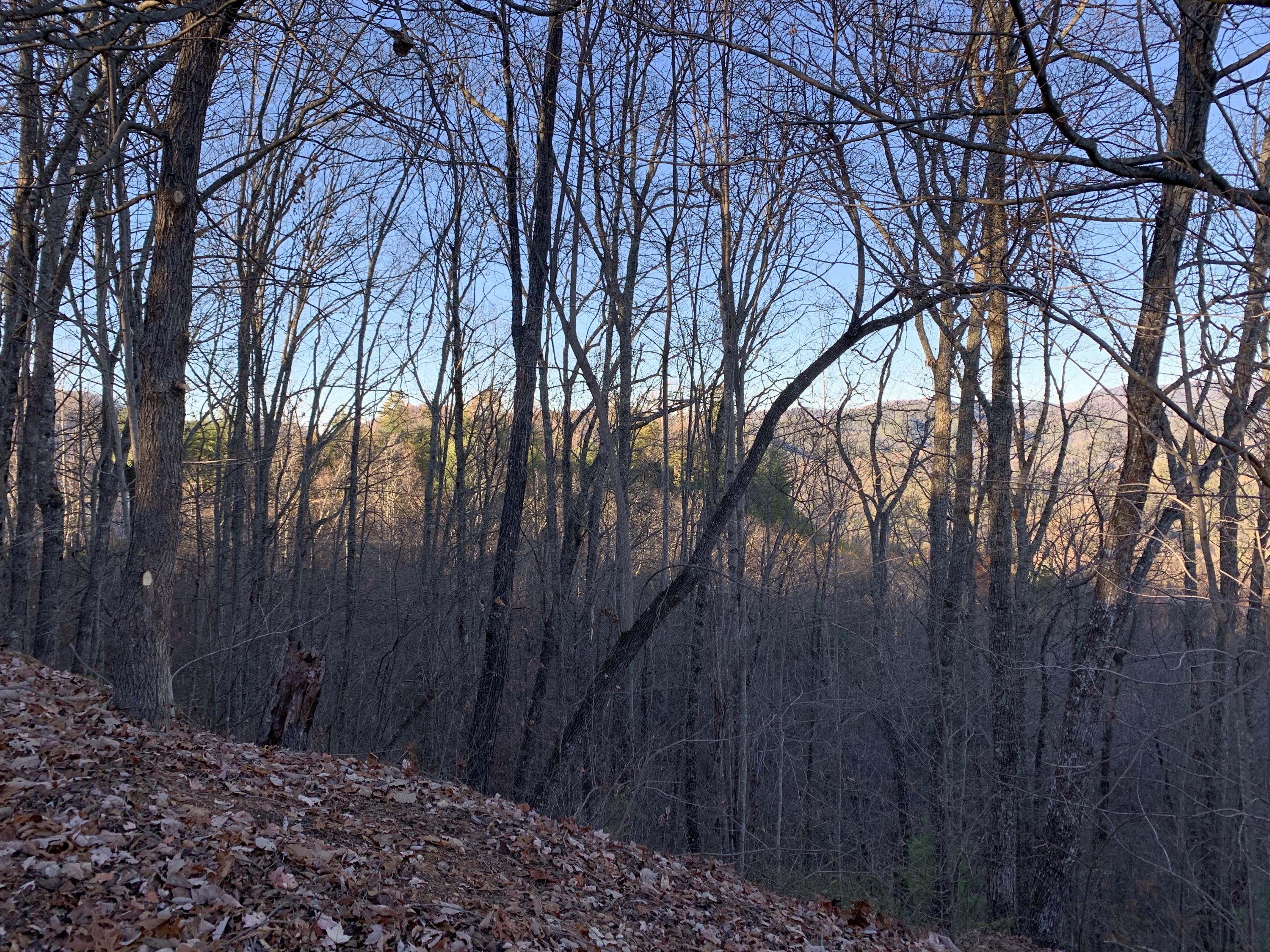 4978 Long Rifle Road Sevierville, TN 37862 - Photo 7 of 19 Northwest View