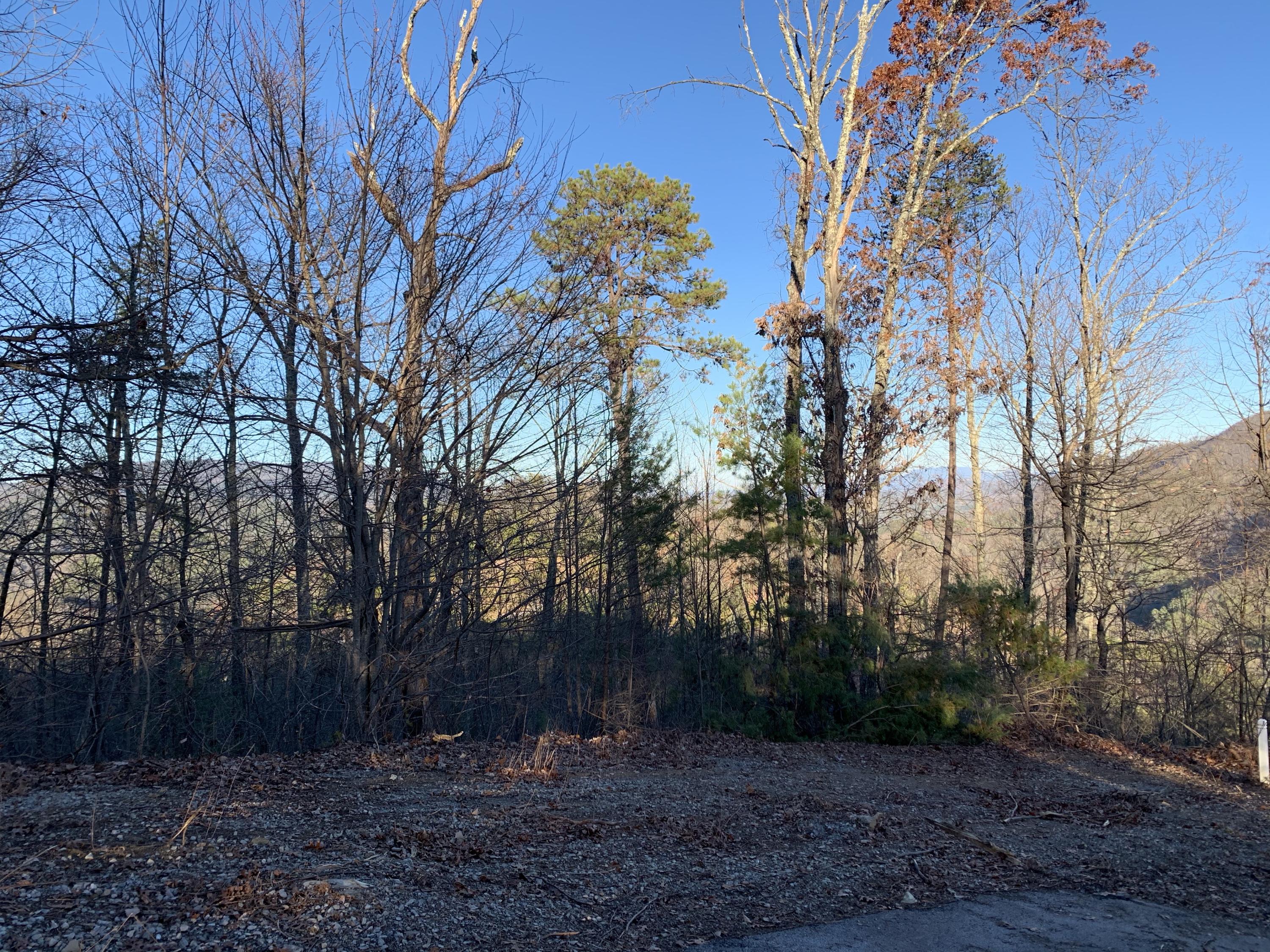 4978 Long Rifle Road Sevierville, TN 37862 - Photo 8 of 19 View to East