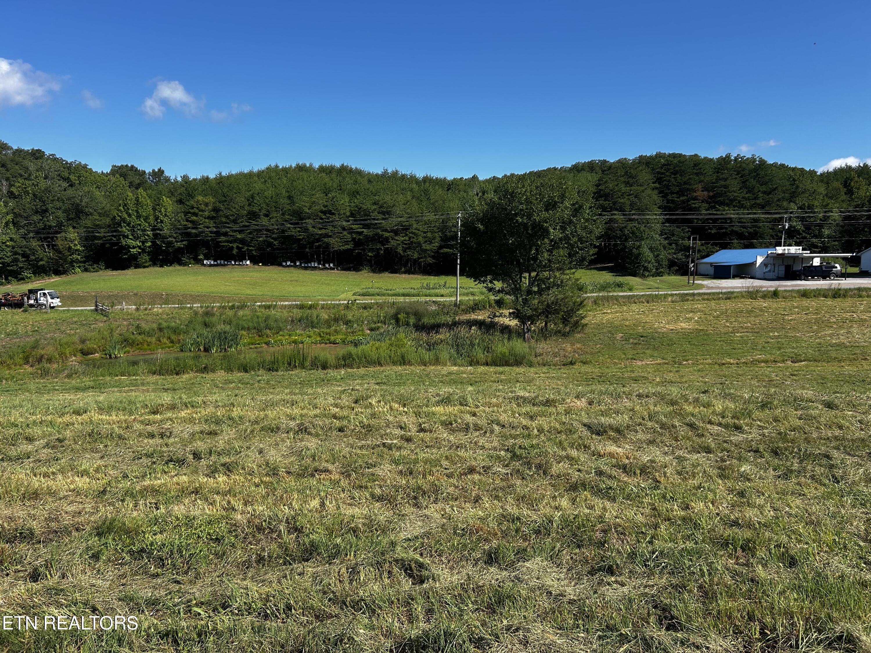 457 Reliance Road Tellico Plains, TN 37385 - Photo 5 of 5 IMG_6947