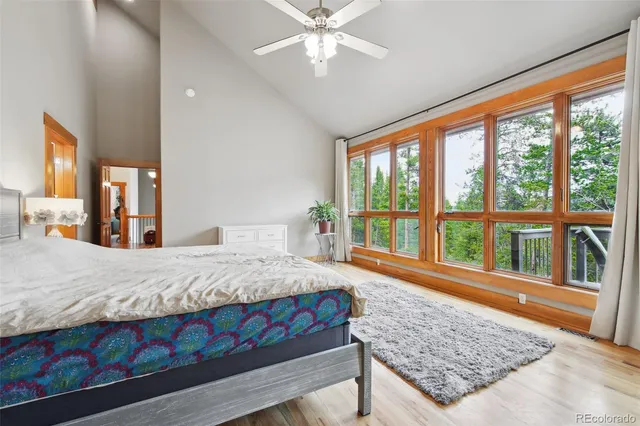 a living room with a bed furniture and next to a window