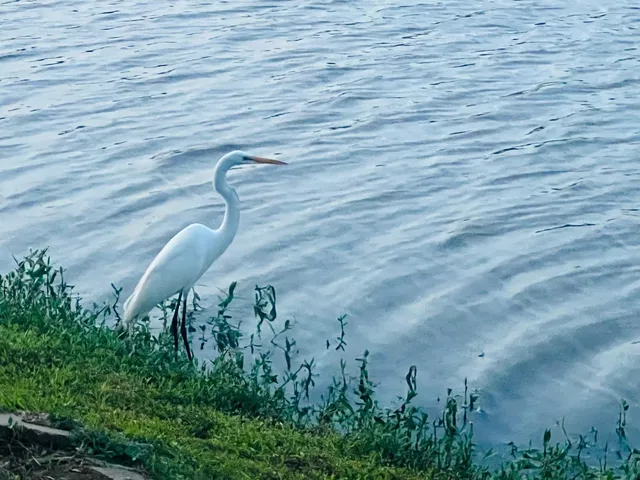 $5,550 | 4114 Fisher Lake Drive, Richmond, TX 77406