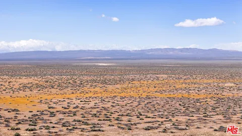 a view of a big yard