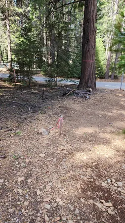 $52,900 | 35475 Colossians Way, Shingletown, CA 96088