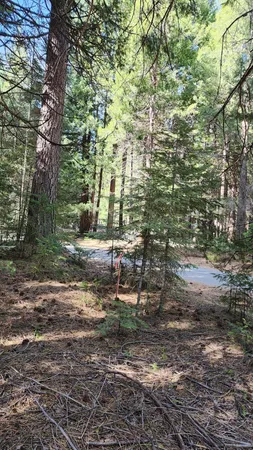 $52,900 | 35475 Colossians Way, Shingletown, CA 96088