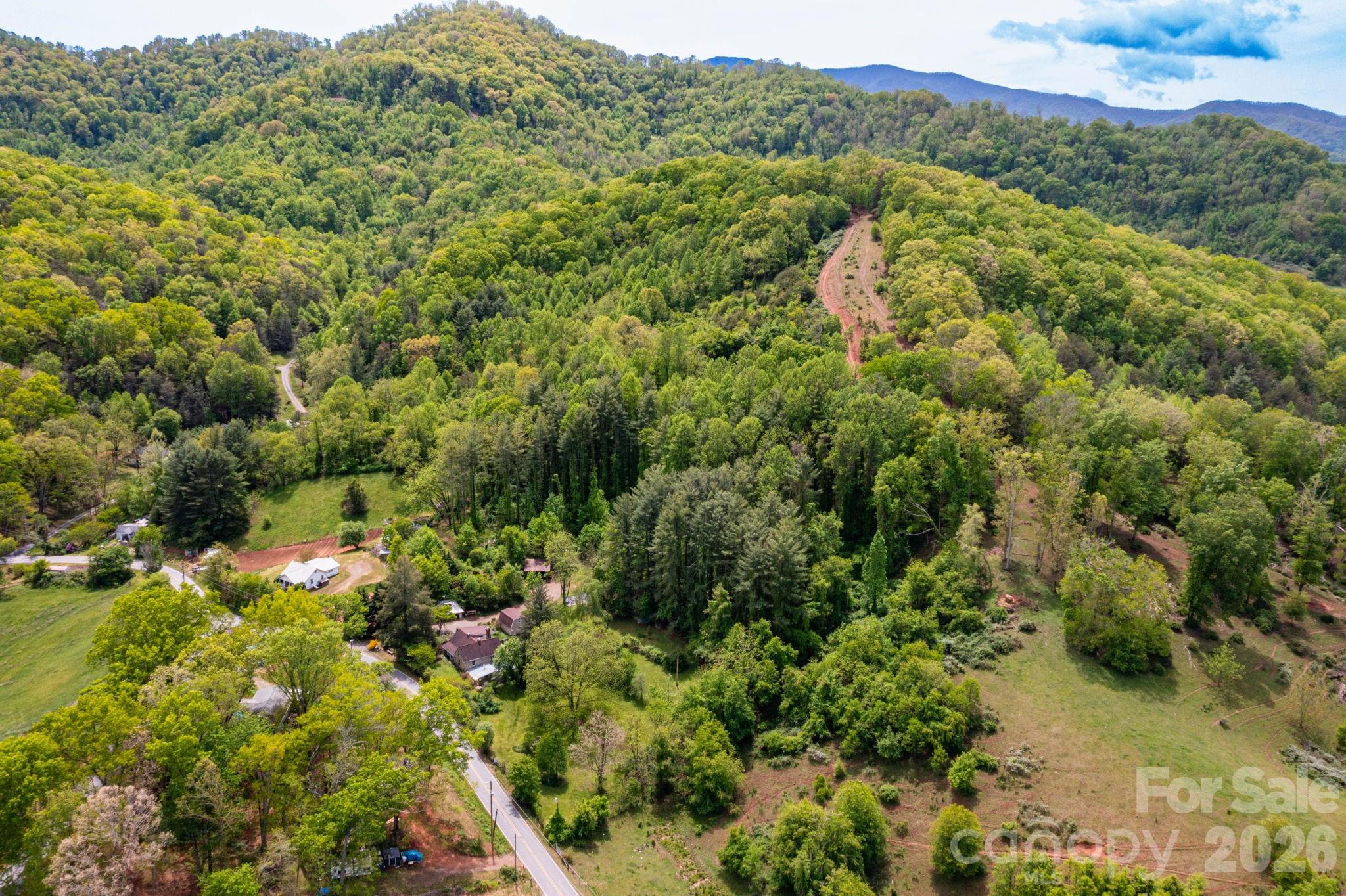 1492 Murray Road Canton, NC 28716 - Photo 41 of 45