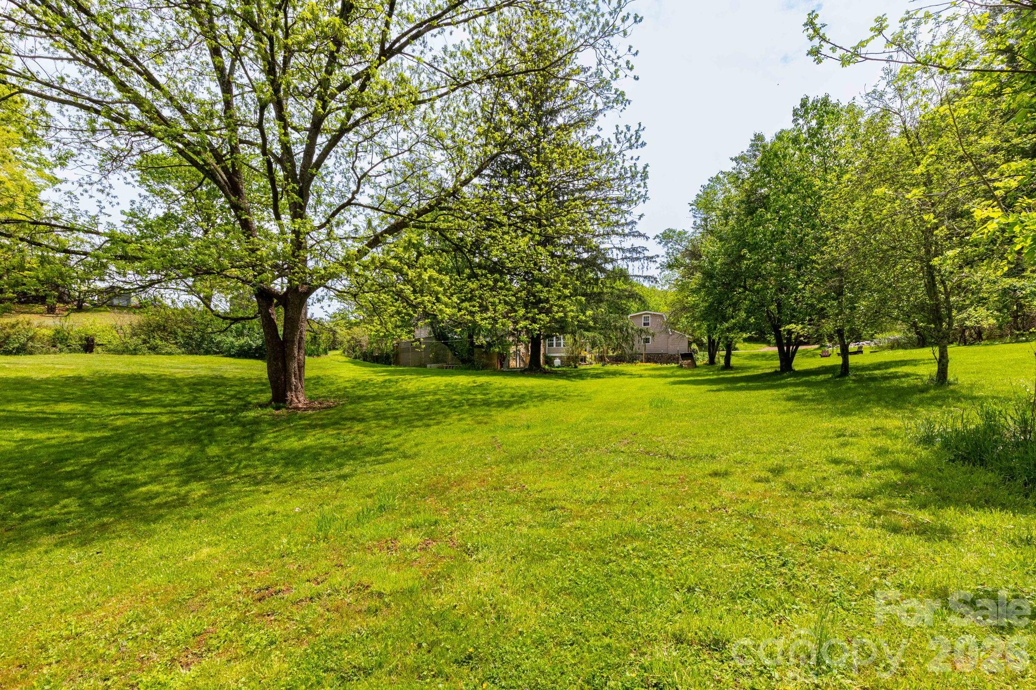1492 Murray Road Canton, NC 28716 - Photo 9 of 45