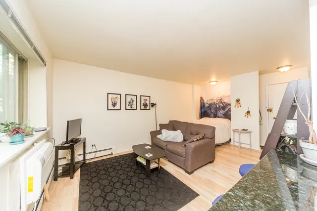 $150,000 | 2629 North Hampden Court, Unit 204, Chicago, IL 60614