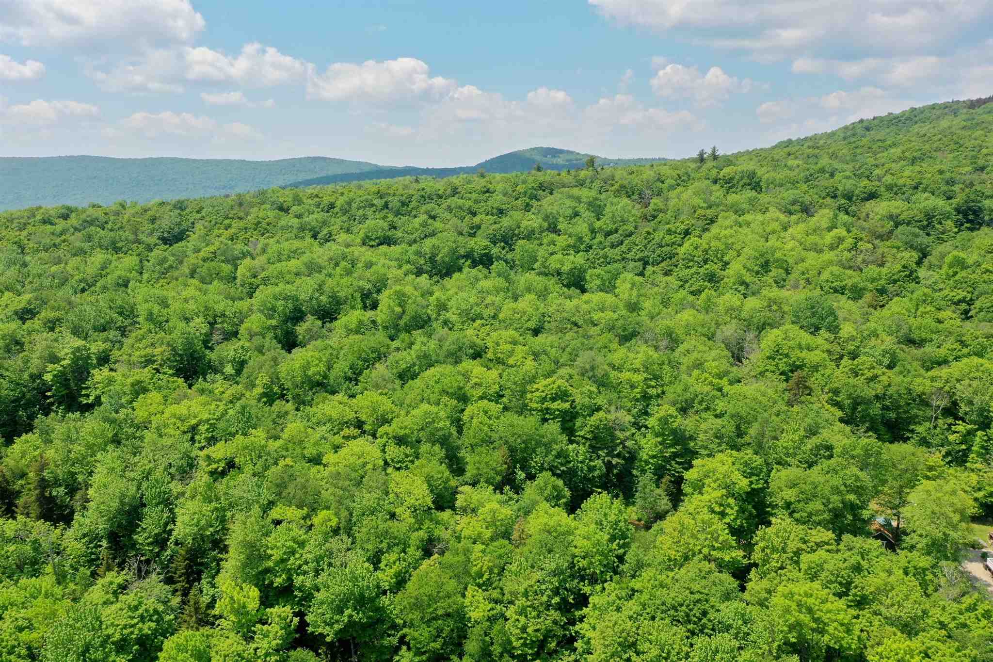 0 North Hill Road Andover, VT 05143 - Photo 9 of 9