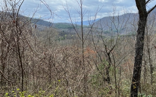 3016 Jump Off Ridge Hiawassee, GA 30546 - Photo 6 of 10 Additional View