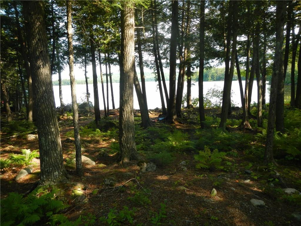 Tbd Tbd Eskutassis & Spruce Point Road Lowell, ME 04493 - Photo 8 of 23 Photo