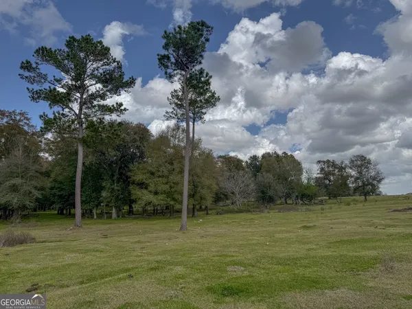 $233,650 | 1 County Line Church Road, Colquitt, GA 39837