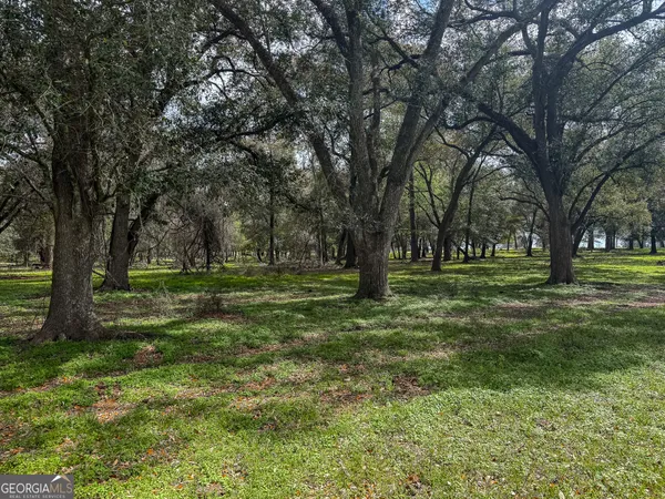 $233,650 | 1 County Line Church Road, Colquitt, GA 39837