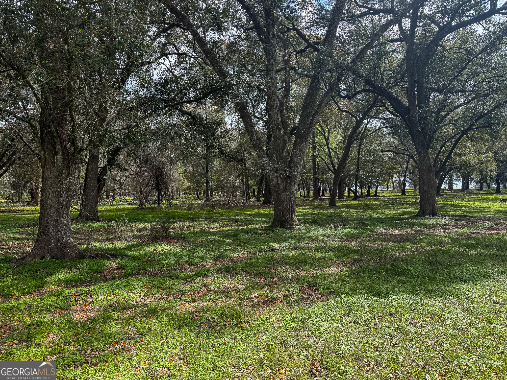 1 County Line Church Road Colquitt, GA 39837 - Photo 3 of 5