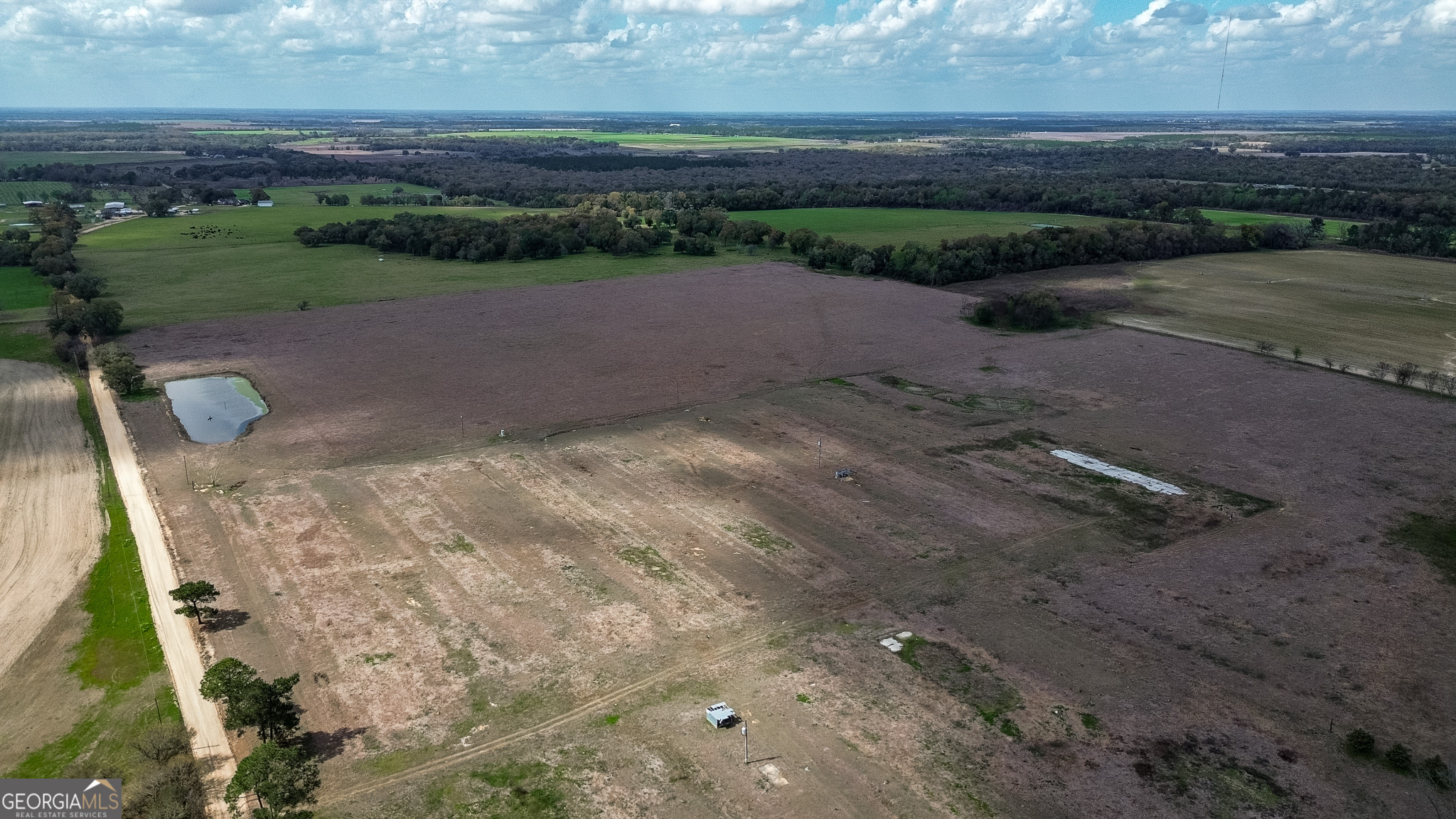 1 County Line Church Road Colquitt, GA 39837 - Photo 5 of 5
