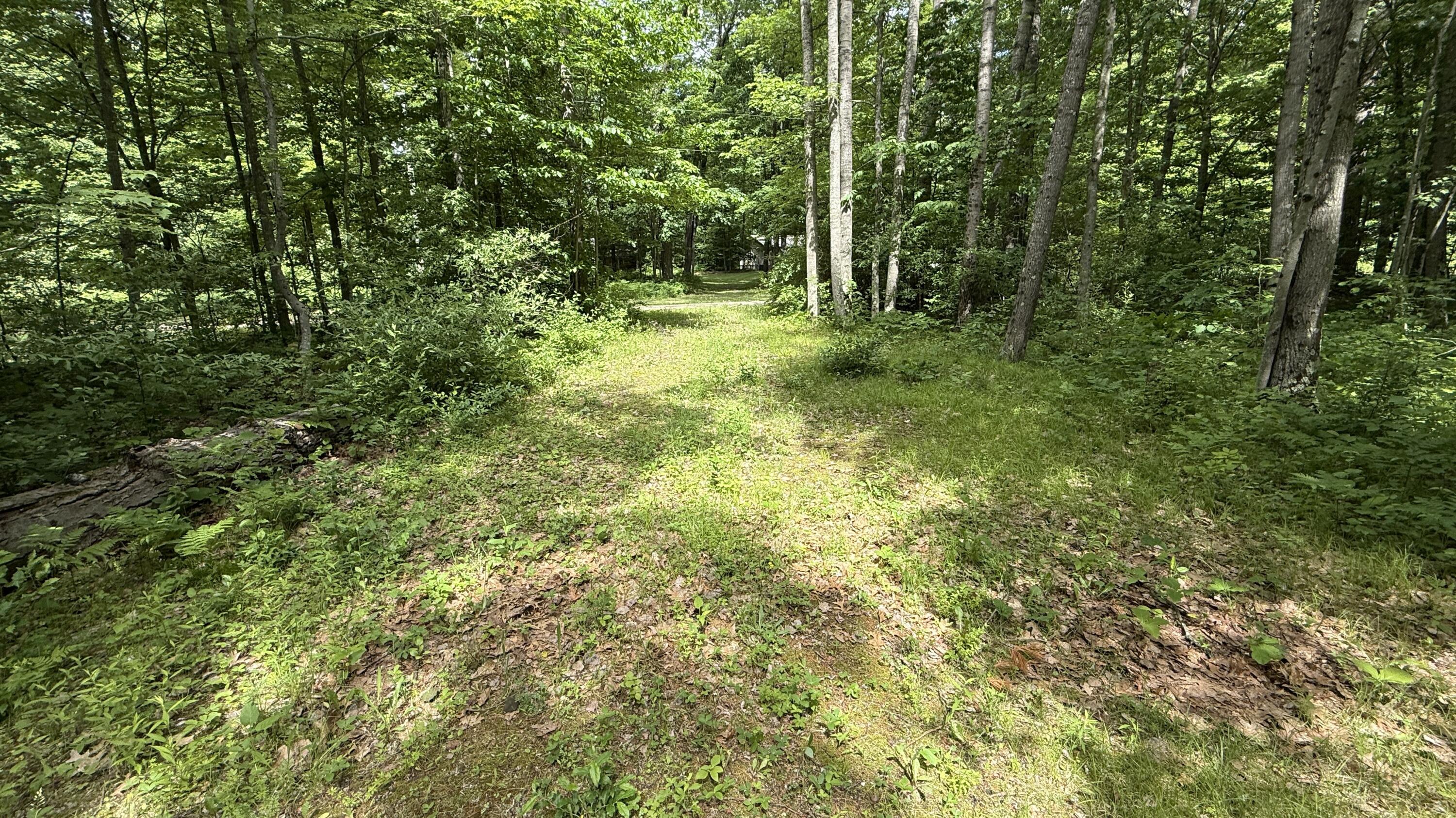 South Woods Road Branch, MI 49402 - Photo 8 of 14 vacant.lot4