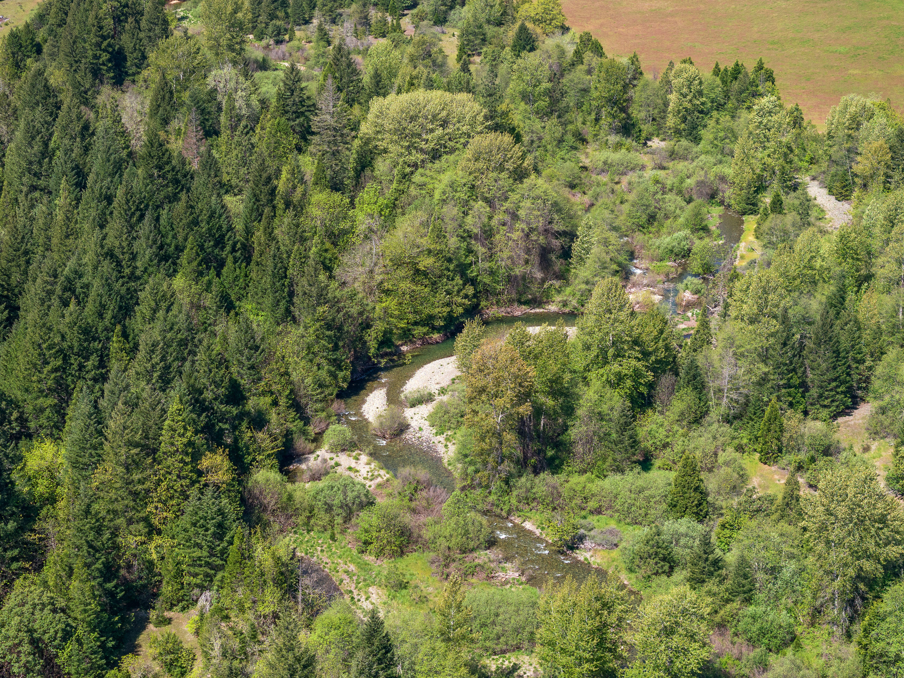 8501 Deer Creek Road Selma, OR 97538 - Photo 66 of 74