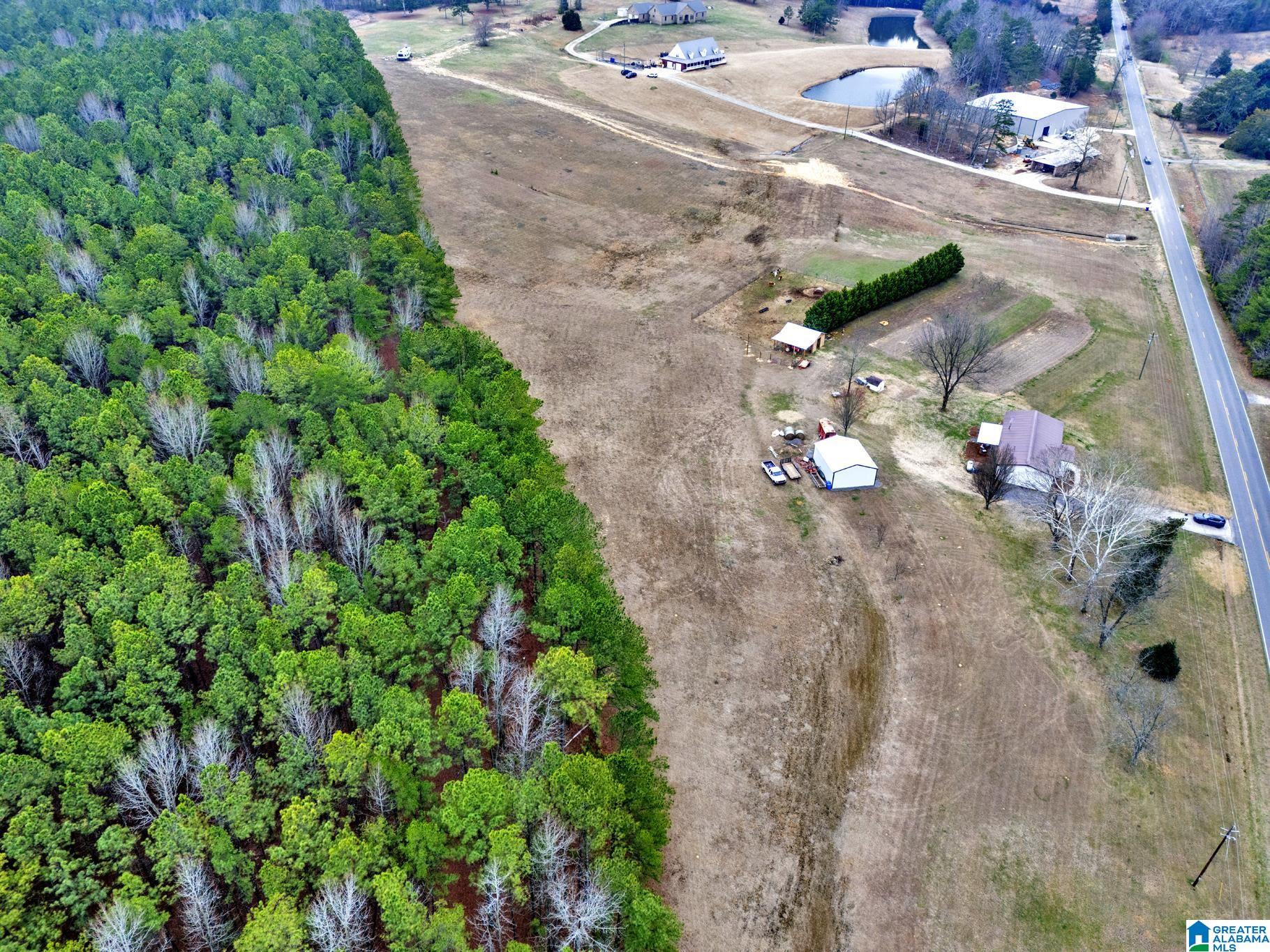 5743 County Road 27 Springville, AL 35146 - Photo 33 of 43