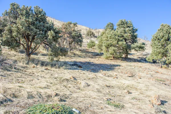 $158,000 | 3221 Reese Lane, Gardnerville, NV 89410