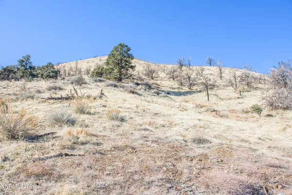 $158,000 | 3221 Reese Lane, Gardnerville, NV 89410
