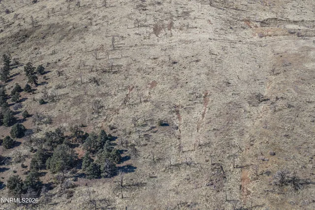 a view of a dry yard