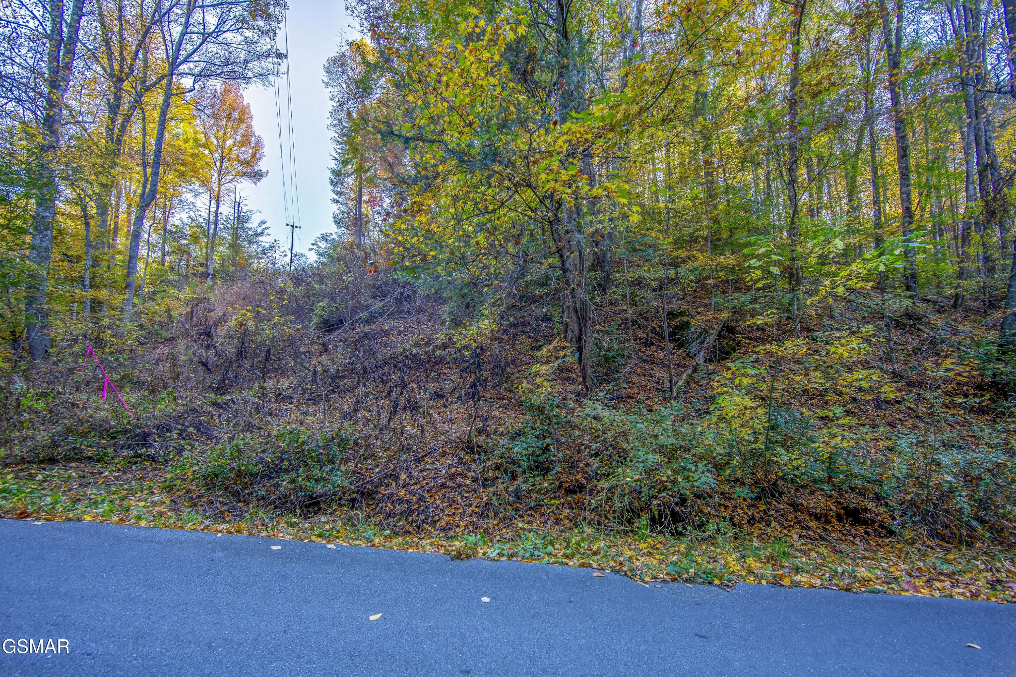 11 Long Hollow Road Sevierville, TN 37876 - Photo 4 of 23