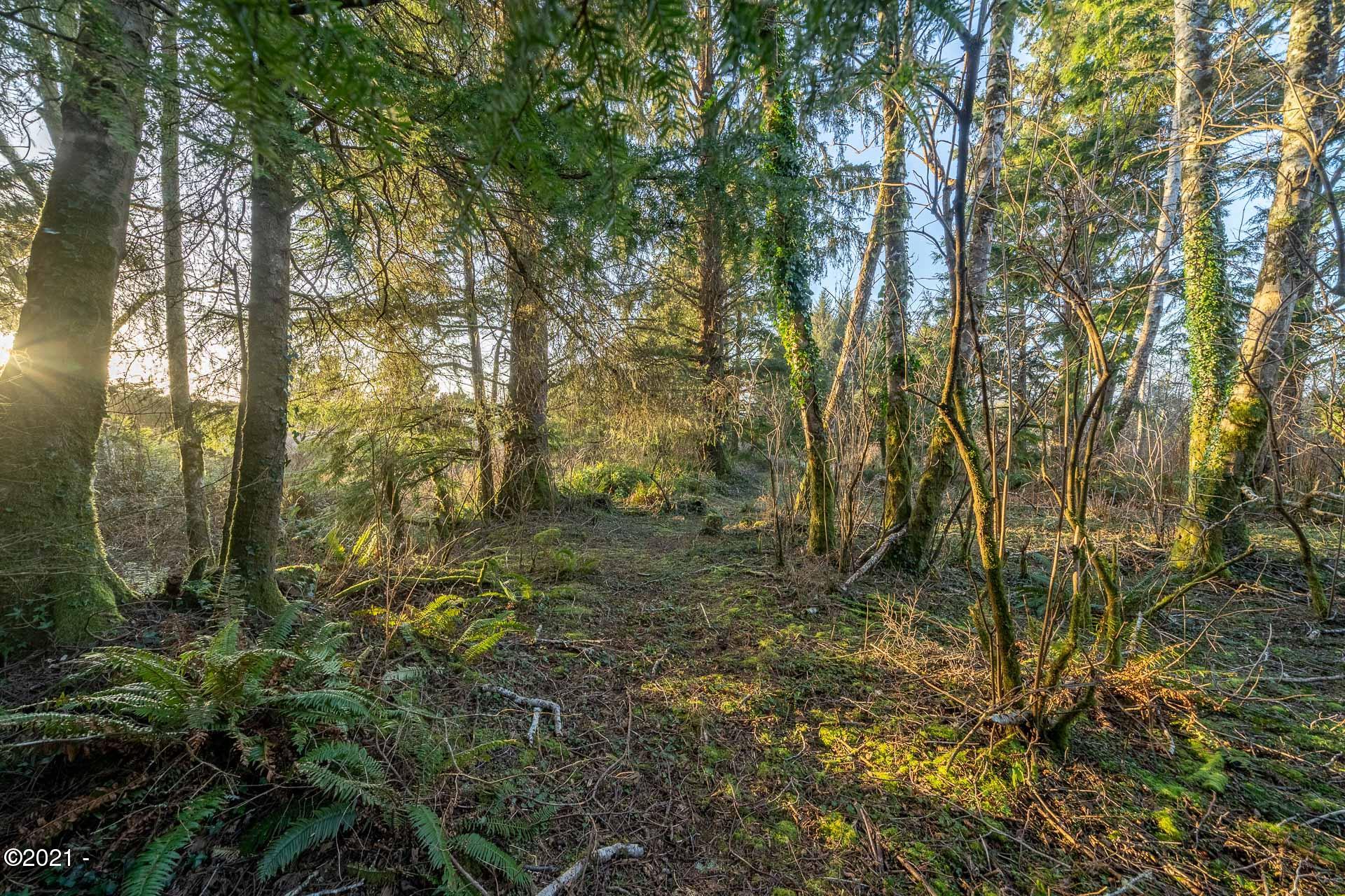 158 Highway 101 Yachats, OR 97498 - Photo 12 of 21 _DSC4675-HDR