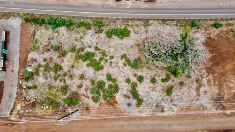 $745,000 | Honoapiilani Highway, Unit 3, Lahaina, HI 96761