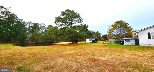 a view of a swimming pool with a yard and large trees