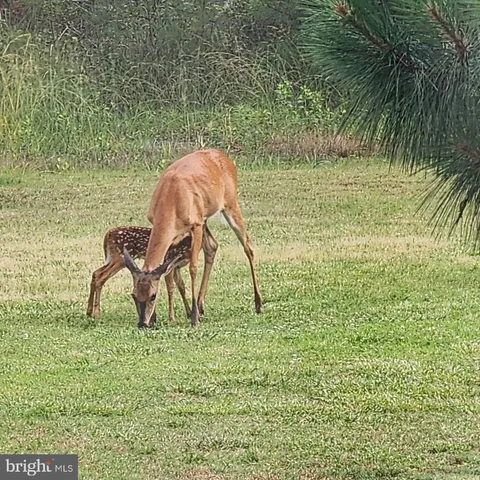 a house view with a outdoor space